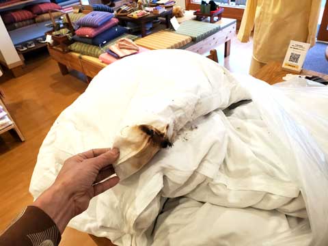 羽毛布団仕立替え　三重県熊野市向井ふとん店