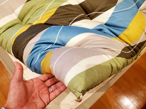 鳥羽市からご注文、打ち直し手作り敷布団　三重県熊野市向井ふとん店