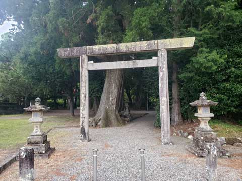 三重県伝統工芸品市木木綿、市木八幡神社 向井ふとん店